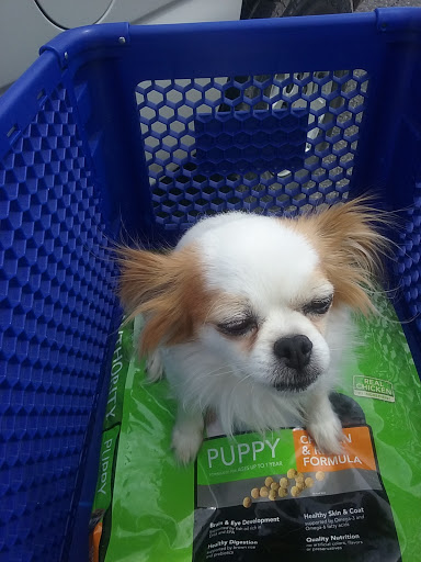 Pet Supply Store «PetSmart», reviews and photos, 2997 Max Ave, Bozeman, MT 59718, USA