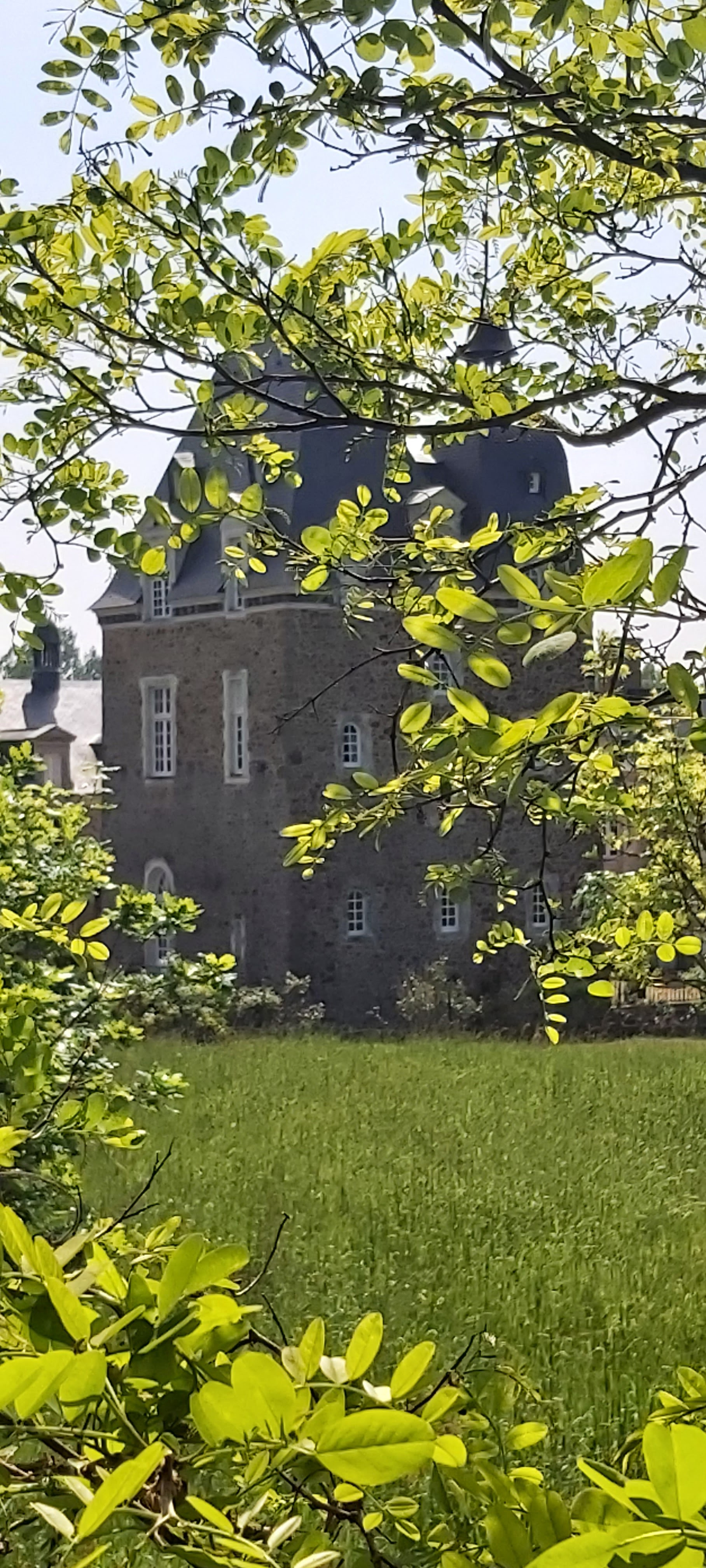 Photo n° 3 de l'avis de Maryline.N fait le 13/05/2022 à 17:26