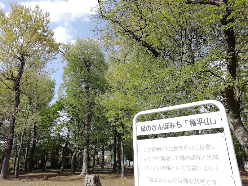 緑の散歩道 権平山