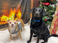 Woof's Play & Stay - Photo 1 - Car repair in Wichita, KS, Wichita