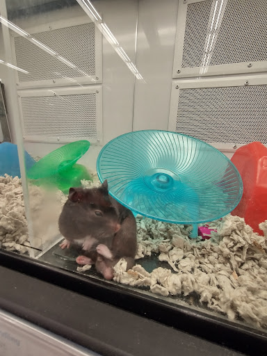 Pet Supply Store «Petco Animal Supplies», reviews and photos, 2140 E Blvd St, Kokomo, IN 46902, USA