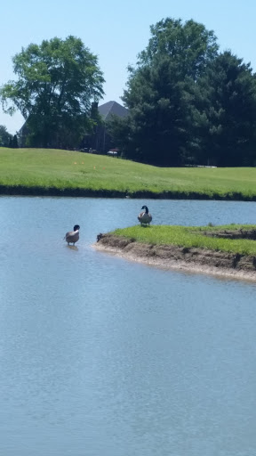 Golf Driving Range «Eastland Green Golf Course», reviews and photos, 550 Clubhouse Ln, Clarksville, TN 37043, USA