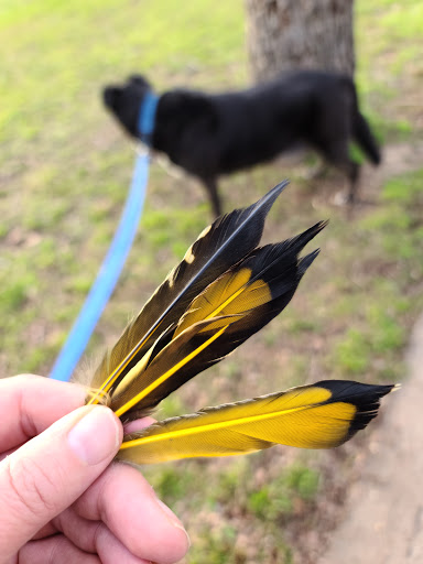 Park «Jaycee - Baker Park», reviews and photos, 500 Belmont Dr, Hurst, TX 76053, USA