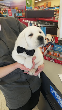 Petco - Photo 9 - Car repair in Germantown, WI, Milwaukee