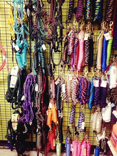 Pet Supply Store «Pet Club Mesa», reviews and photos, 55 S Country Club Dr, Mesa, AZ 85210, USA
