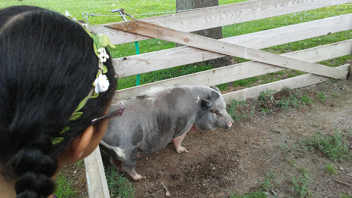 Museum «Delaware Agricultural Museum», reviews and photos, 866 N Dupont Hwy, Dover, DE 19901, USA