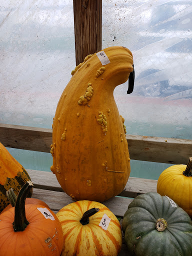 Garden Center «Hildebrant Farmers Market», reviews and photos, 349 Main Ave E, West Fargo, ND 58078, USA