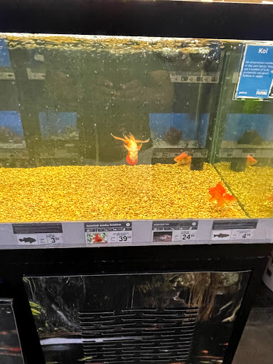 Pet Supply Store «Petco Animal Supplies», reviews and photos, 1945 W Palmetto St #250, Florence, SC 29501, USA