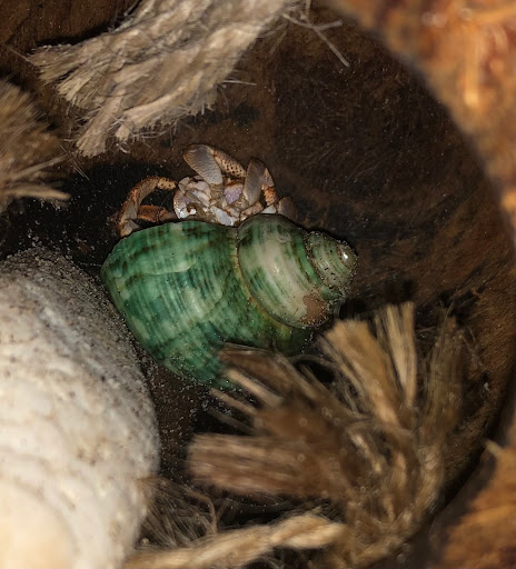 Pet Store «All About Pets LLC», reviews and photos, 52567 Columbia River Hwy, Scappoose, OR 97056, USA