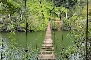 Puente de Hamaca del Lago Garzas image