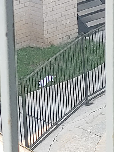 Moving and Storage Service «All My Sons Moving & Storage», reviews and photos, 10725 Interstate 35 Frontage Rd, San Antonio, TX 78233, USA