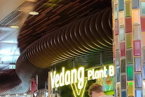Vedang - plant burger (Mall of Berlin) image