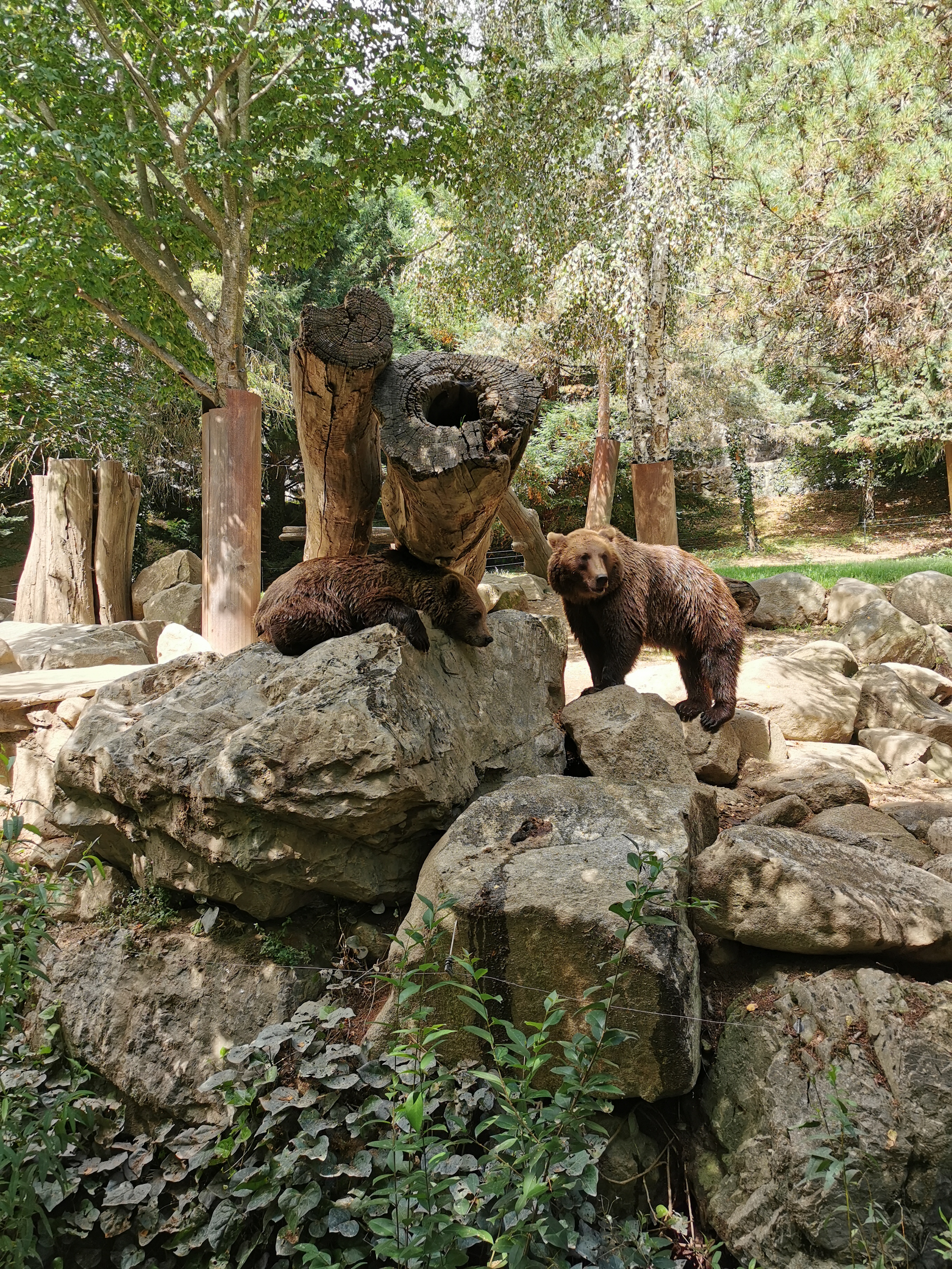 Photo n° 1 de l'avis de Axantiu. fait le 14/03/2021 à 10:18