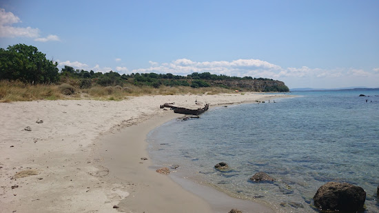 Tekke Koyu