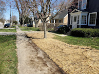 Diamond Cuts Landscaping and Commercial Snow Removal - Photo 4 - Car repair in Aurora, IL, Aurora