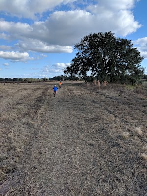 Marshall Hampton Reserve - photo 91