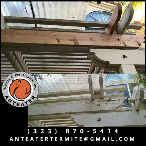 Anteater Termite & Pest Control image