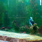 Photo n°13 de l'avis de Placido.a fait le 27/04/2024 à 20:19 sur le  VILLA OCEAN à Biancavilla