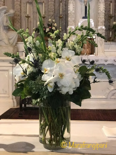 Florist «Frangipani Flowers & Gifts», reviews and photos, 1203 4th St, San Rafael, CA 94901, USA