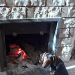 Photo n°1 de l'avis de Gianni.p fait le 03/02/2022 à 19:14 sur le  Trattoria Di Pietro Crescenzo à Melito Irpino