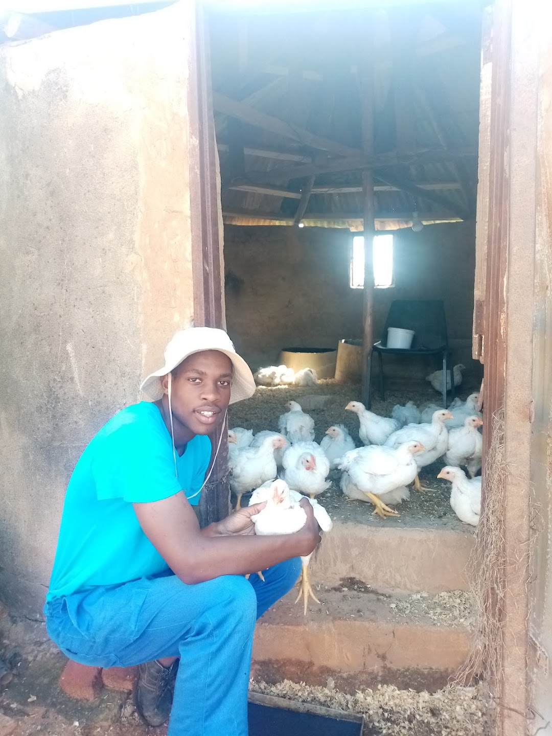 Tshepos chickens n eggs