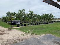 Wholesale Palms - Photo 8 - Car repair in Winter Haven, FL, Winter Haven