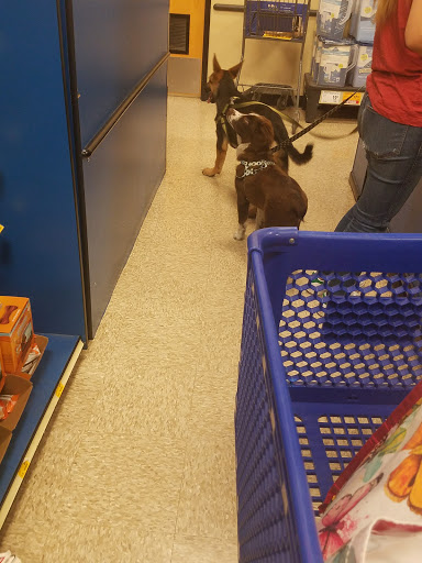 Shopping Mall «Cottman-Bustleton Center», reviews and photos, 2139 Cottman Ave, Philadelphia, PA 19149, USA