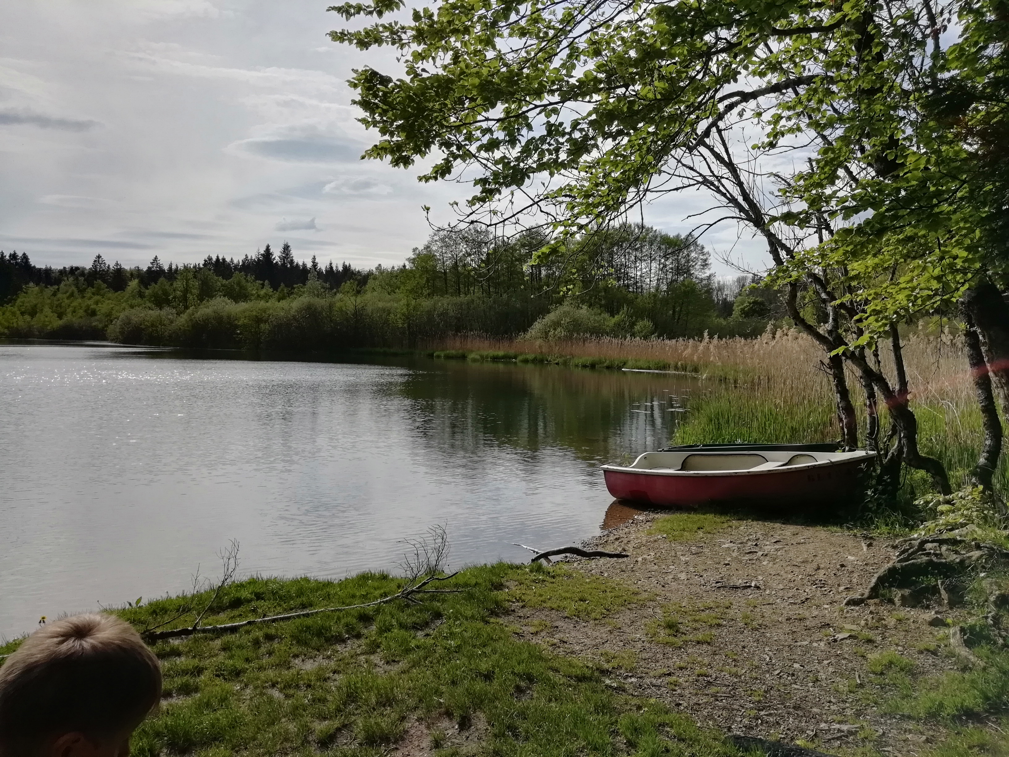 Photo n° 3 de l'avis de LaGiboulette.e fait le 25/05/2019 à 11:22
