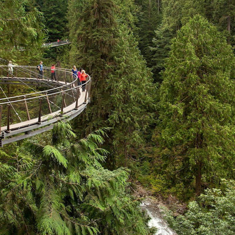 Cliffwalk