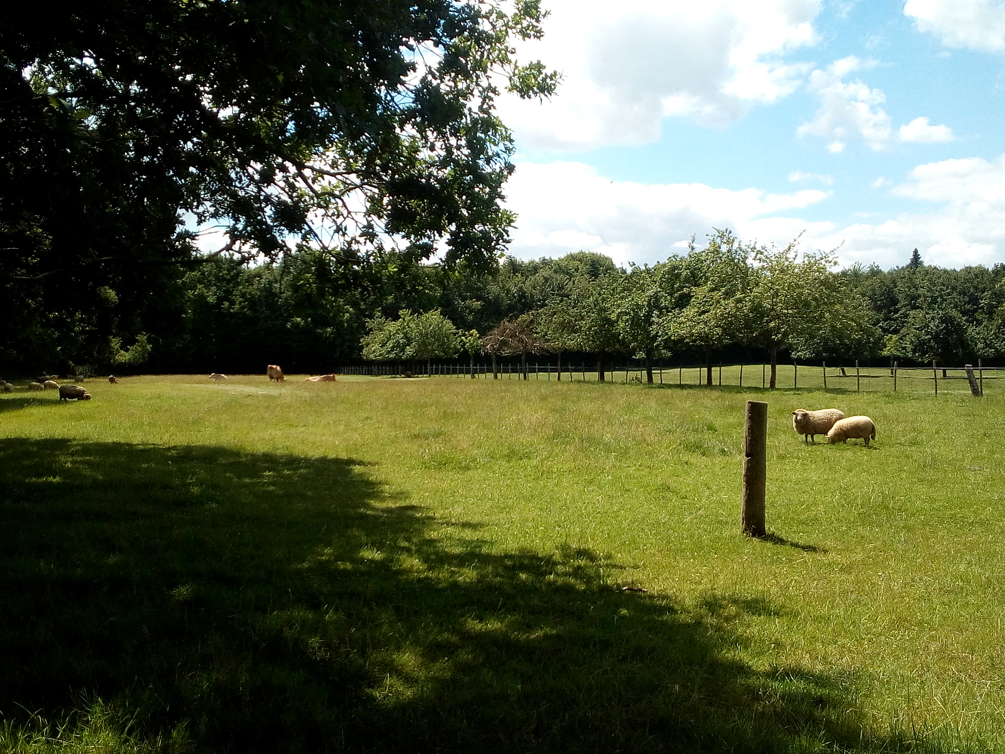 Photo n° 2 de l'avis de David.u fait le 29/06/2019 à 10:40