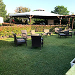 Photo n°2 de l'avis de Mario.. fait le 25/05/2018 à 05:57 sur le  Cressente - Ristorante - Pizzeria - Bar à Porto Tolle