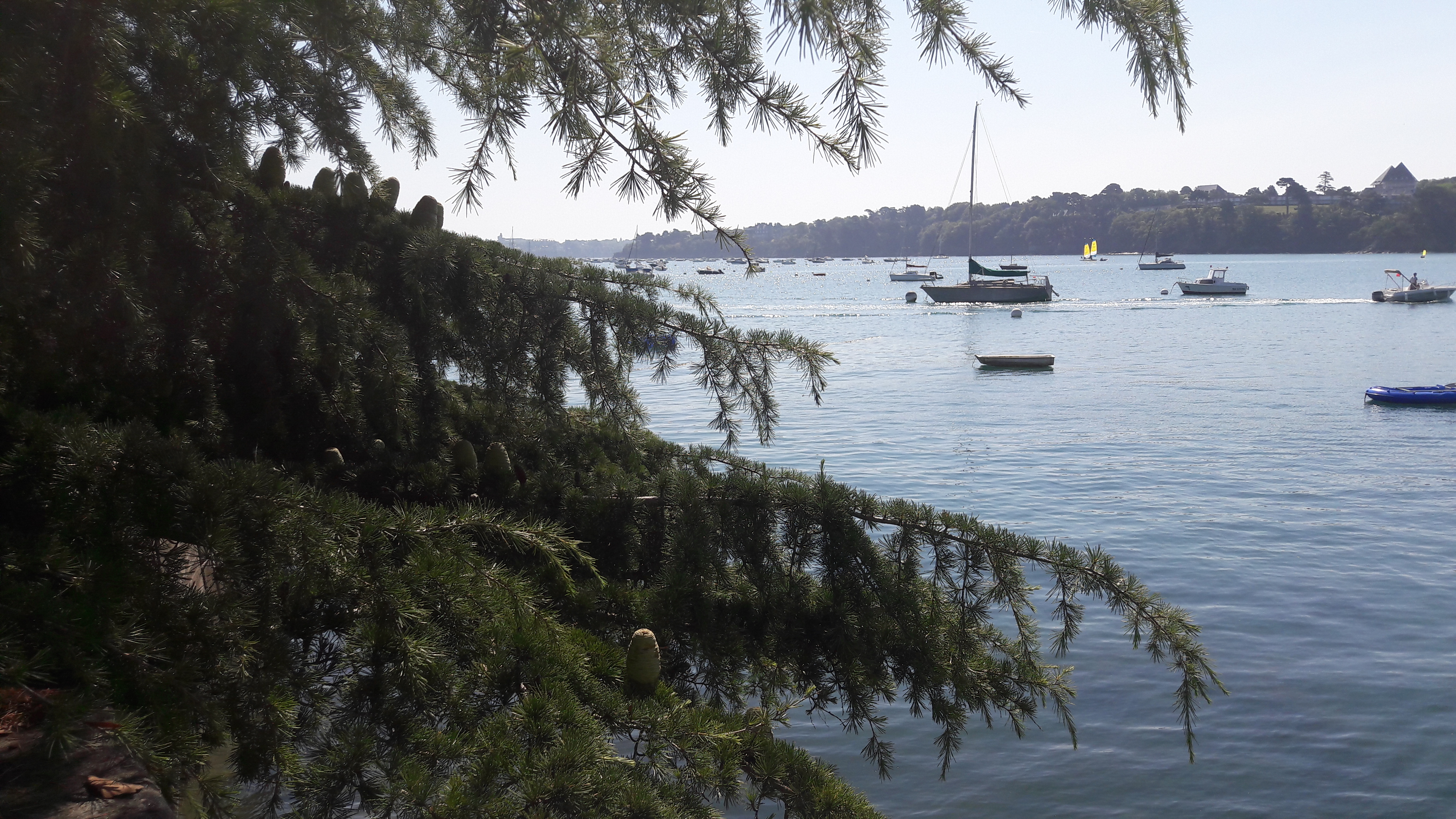 Photo n° 4 de l'avis de Jacky.. fait le 06/07/2019 à 08:15