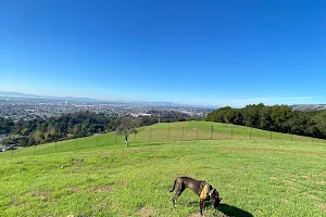 Knowland Park Open Space image