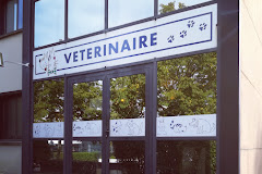 Clinique Vétérinaire Animaux et Vous