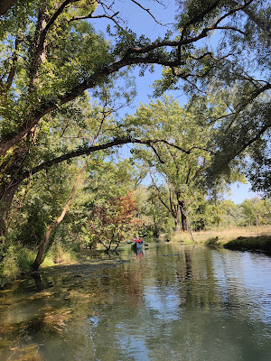 la riviere de Chauvignac à Chenac-Saint-Seurin-d'Uzet