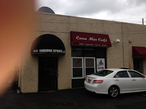 Endzone Sports, 3935 Merrick Rd, Seaford, NY 11783, USA, 
