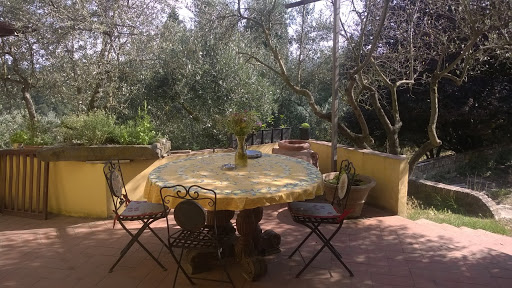 Azienda Agricola "Il Cavallone" Agriturismo