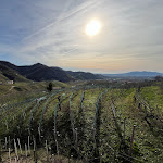 Photo n°7 de l'avis de Letizia. fait le 22/01/2024 à 18:36 sur le  Trattoria Ristoro Fos De Marai à Valdobbiadene