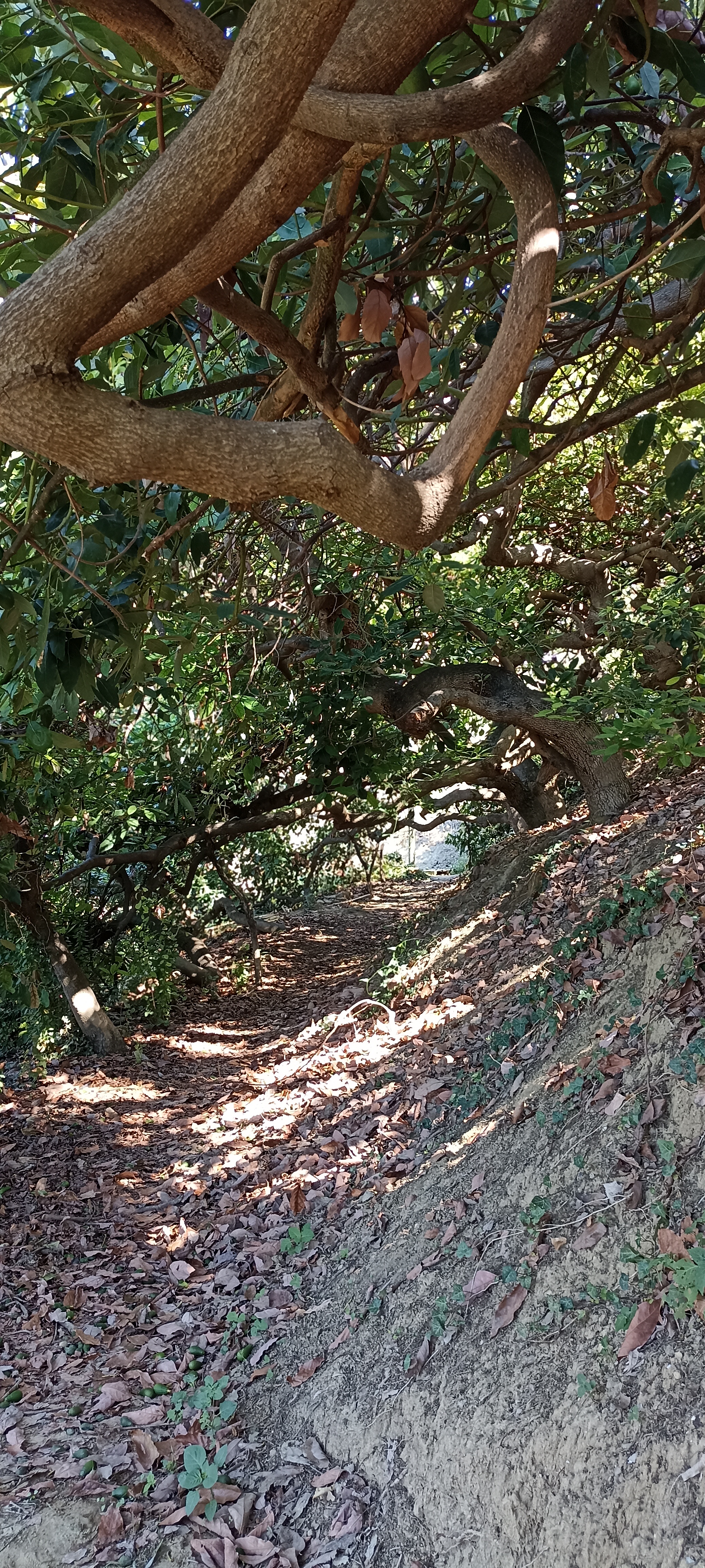 Photo n° 2 de l'avis de François.o fait le 03/09/2022 à 17:47
