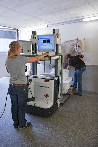 Equine Clinic in Kirchheim unter Kirchheim unter Teck, 