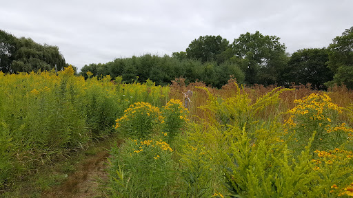 Non-Profit Organization «Aldo Leopold Nature Center», reviews and photos, 330 Femrite Dr, Madison, WI 53716, USA