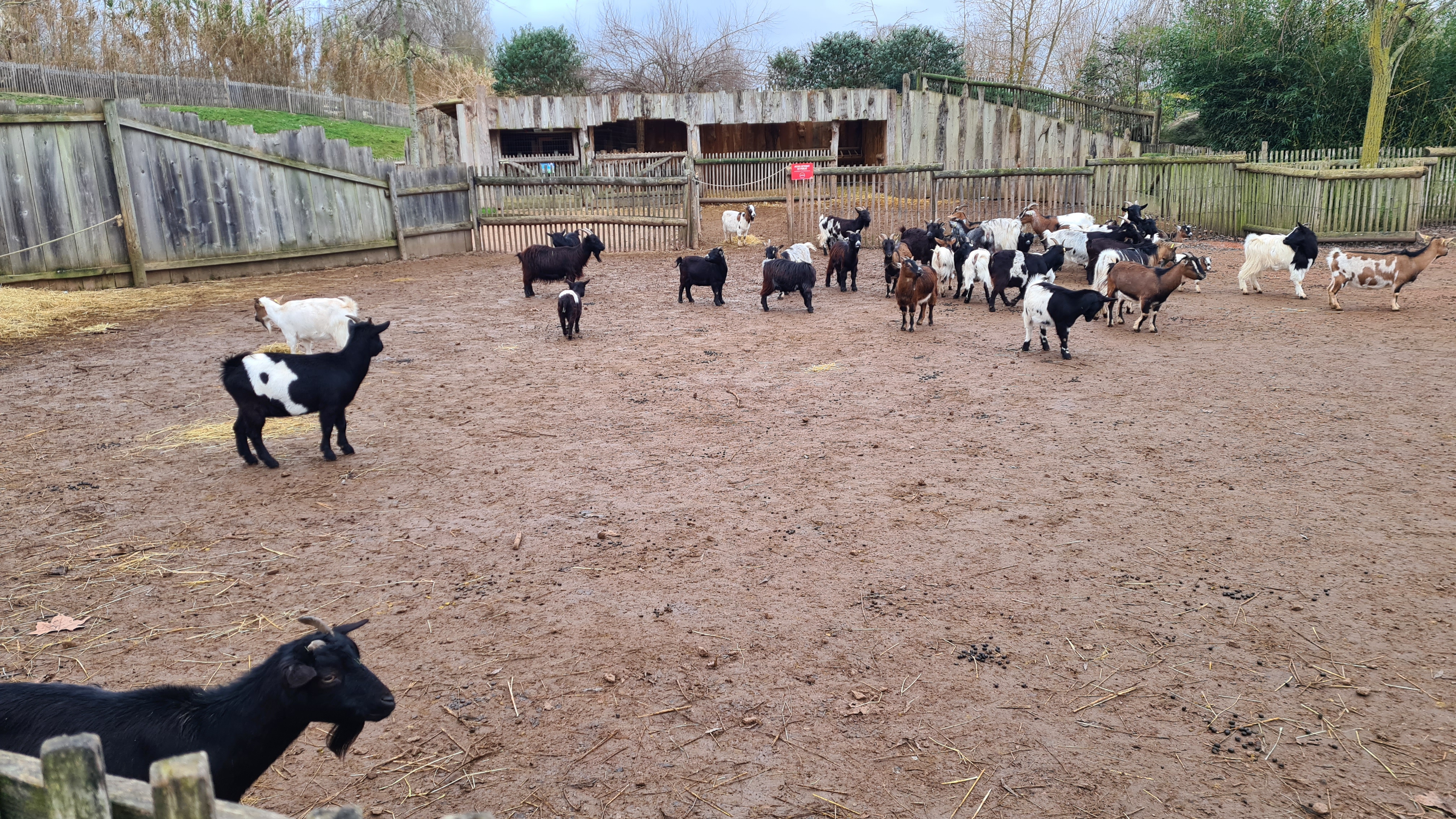 Photo n° 44 de l'avis de Ludovic.A fait le 29/12/2023 à 16:51