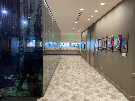 Hotel «Hotel Paradox, Autograph Collection», reviews and photos, 611 Ocean St, Santa Cruz, CA 95060, USA