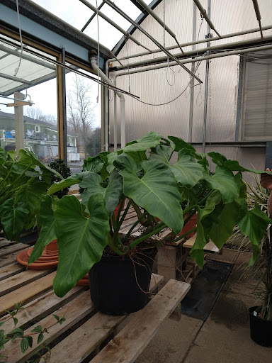 Florist «The Garden», reviews and photos, 155 Main St N, Woodbury, CT 06798, USA