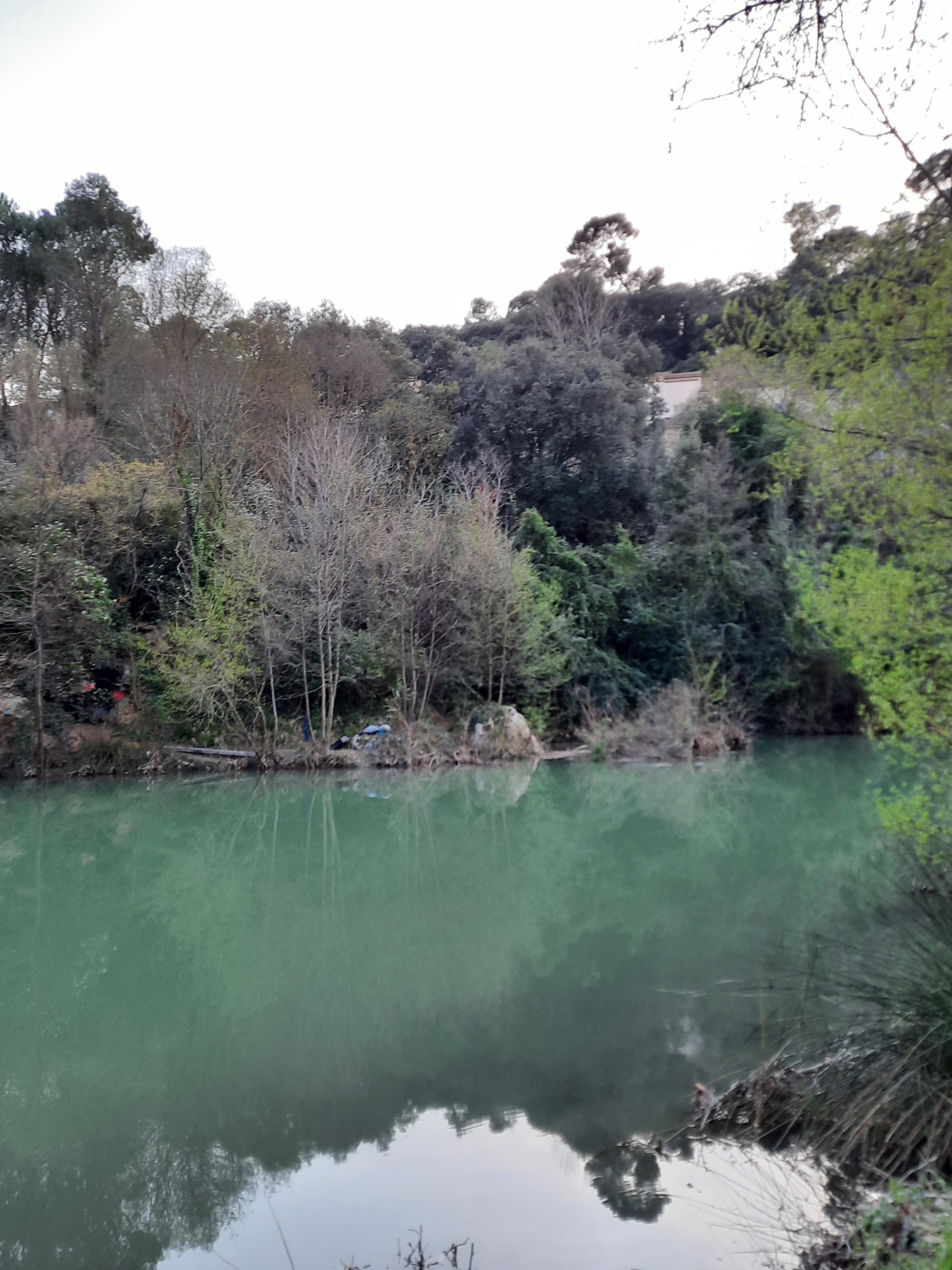Photo n° 2 de l'avis de Evgenia.o fait le 22/03/2022 à 22:17