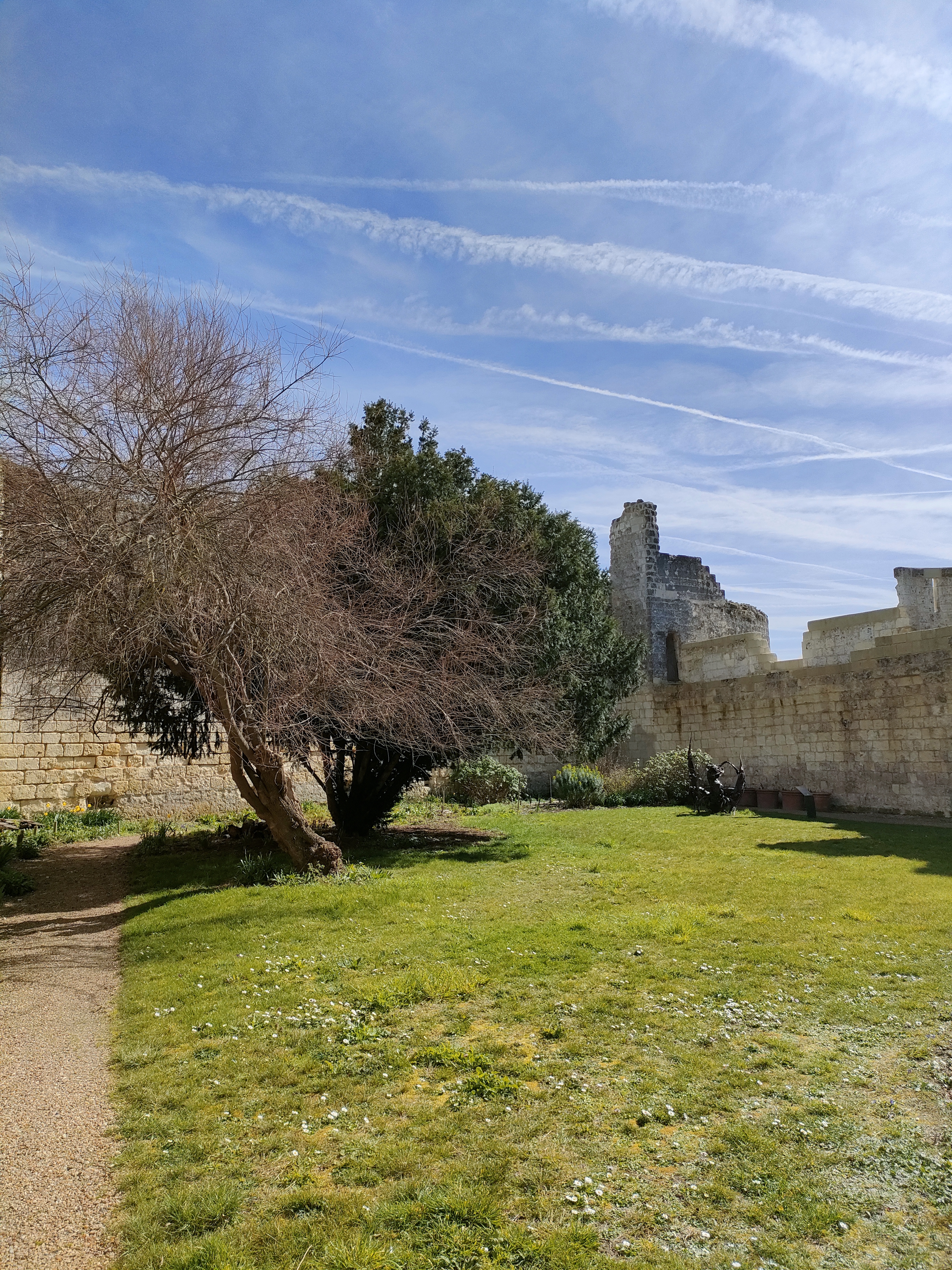 Photo n° 14 de l'avis de Monia.o fait le 20/03/2023 à 13:28