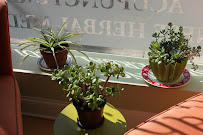 Olive Blossom Acupuncture Clinic (formerly Kwai Fah) - Photo 3 - Car repair in Chicago, IL, Chicago