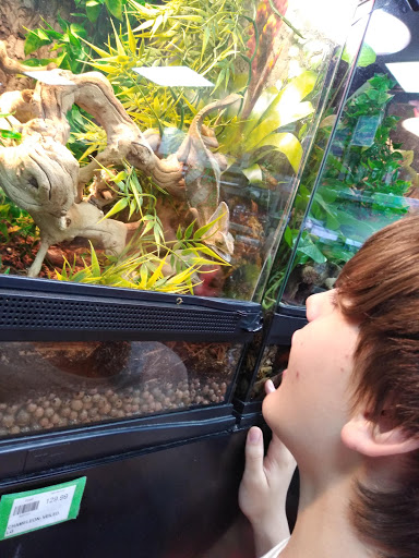 Pet Store «Petland», reviews and photos, 415 Mary Esther Cut Off NW G, Fort Walton Beach, FL 32548, USA