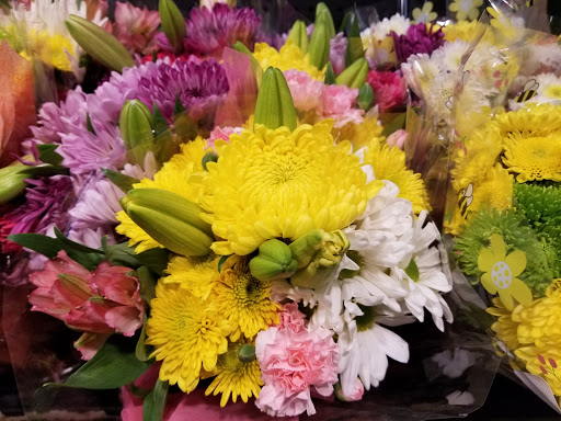 Grocery Store «Food Lion», reviews and photos, 13490 Dumfries Rd, Manassas, VA 20112, USA