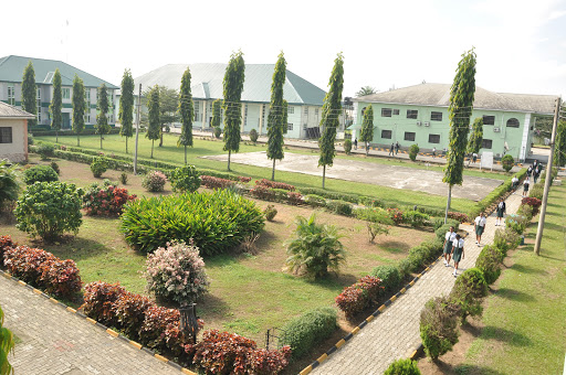Trinitate International School, Elelenwo-Igrita Road, Eliowani, Port Harcourt, Nigeria, College, state Rivers